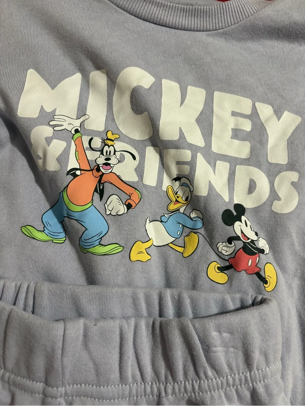Disney Lavender Mickey & Friends Sweatshirt and Joggers Set